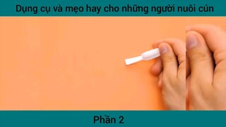Dụng cụ và mẹo hay cho những người nuôi cún #2