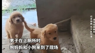 Luôn có những cuộc đời đến để chữa lành cho bạn