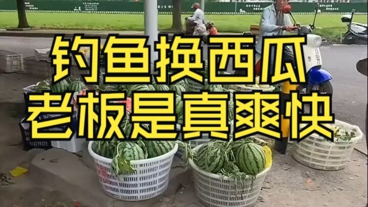 We caught a few mandarin fish in exchange for watermelons. The boss was really generous and both sid