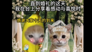 إذا عجز العلم عن التفسير، فدعي الأمر للحب.