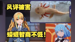 【又一】那么可爱的蝾螈风评被害，怎么想都是若至豆豆的错😡