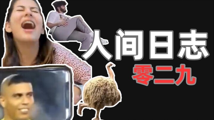 Human Observation Log 029