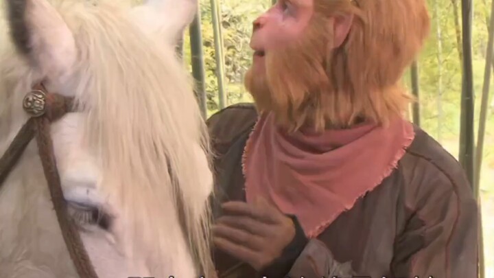 لماذا الجزء الجديد من رحلة إلى الغرب ممتع إلى هذا الحد؟