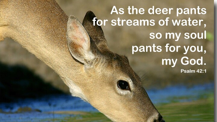 As The Deer Pants For The Water