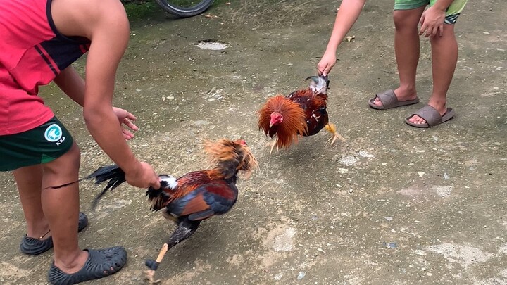 boston sweater vs boston sweater