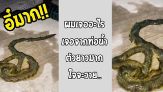 รวมคลิปตลกๆ : นี่มันตัวอะไรกันเเน่เนี่ย!!