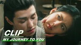 Elder Yue Recalls getting along with Yunque | My Journey to You EP17 | 云之羽 | iQIYI