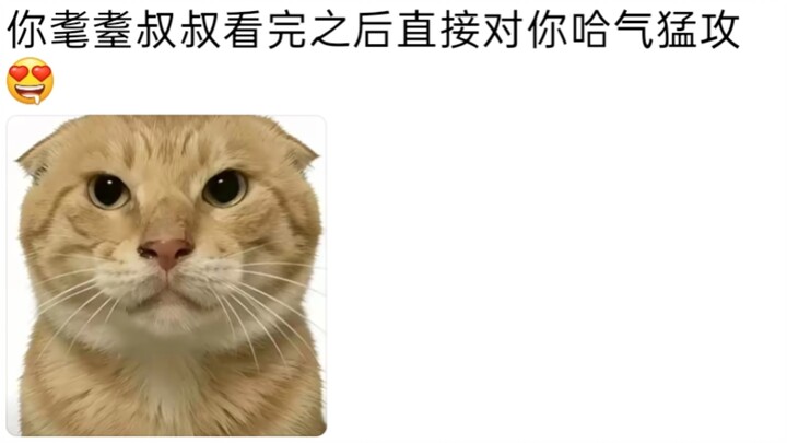 Mi: Don't touch it if you're not buying.