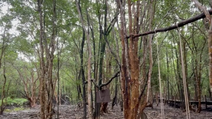 เที่ยวตราด