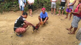 kala ko talo na  panalo pala wahahha❤️🐓🐓