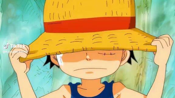 terimakasih telah lahir raja