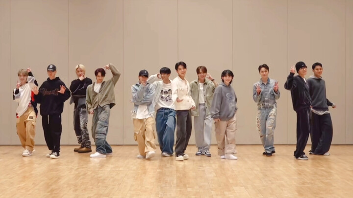 【SEVENTEEN】赏   心    悦    目5.0