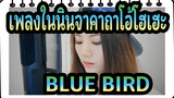 [เพลงในนินจาคาถาโอ้โฮเฮะ] OP3 BLUE BIRD (โคเวอร์)