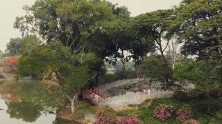 Tập 1 - Cung Nữ Tuổi Dần - Huỳnh Lập Offical