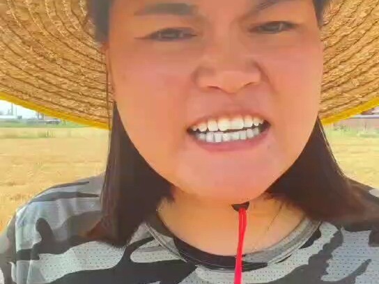 كم يمكن أن تربح من حصاد 18 مو من القمح؟