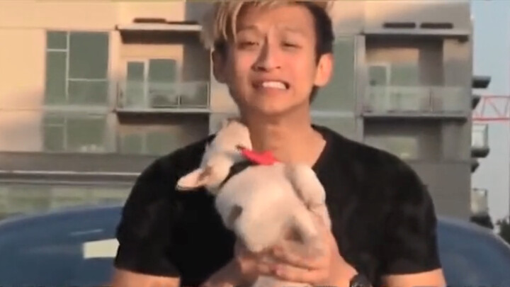【Life】Social experiment: Ferrari vs puppy. Which one picks up chicks?