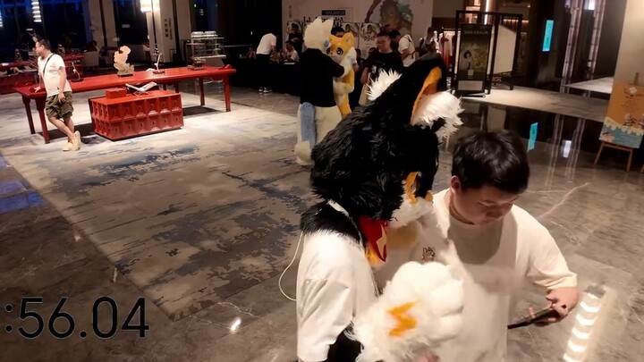 وحش تحدي القلق الاجتماعي يجمع الشعر لمدة 10 دقائق ولا أحد يهتم