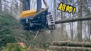 没有任何一个男人能拒绝的了这样的伐木机