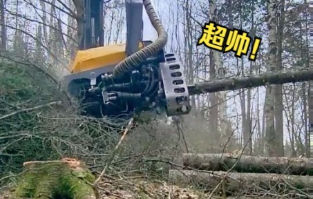 没有任何一个男人能拒绝的了这样的伐木机