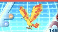 Pokemon Tập 1158: Đối thủ của Go? Đường dẫn đến Mew!!