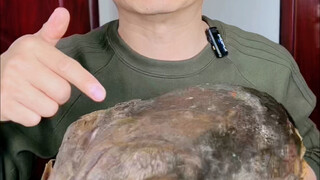 Menantang tuna zombie, masih ingin lihat aku menantang apa lagi?