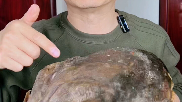 Menantang tuna zombie, masih ingin lihat aku menantang apa lagi?