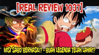 [REAL REVIEW 1037] MISI SABO DI MARIEJOA BERHASIL!? - DEVIL FRUIT LEGENDA TELAH TERLAHIR KEMBALI?