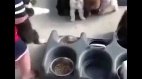 ความน่ารักของวันนี้