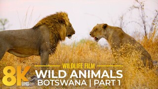 Monsoon Island  FULL DOCUMENTARY  Wildest Islands Sri Lanka  Ultimate NatureDoc (1080P HD)