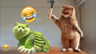 Funniest Animals 2024 😂 Best Funny Cats and Dogs Videos 😻🐶 Part 45