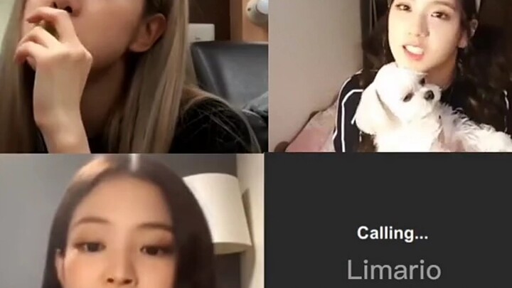 ลูกสาวคนที่สามรอให้ลิซ่ามาร่วมด้วย แต่ละคนน่ารักยิ่งกว่ากัน “กุหลาบป่าออสเตรเลีย” เจนนี
