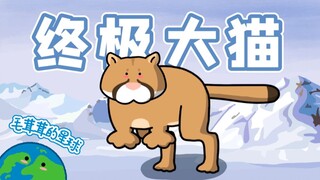 [Cougar] It turns out that this is the largest cat on the planet!