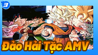 Đảo Hải Tặc AMVComing Home!_3