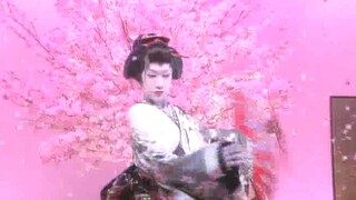 【早乙女太一】夜桜お七（15岁的美少年是世界瑰宝）