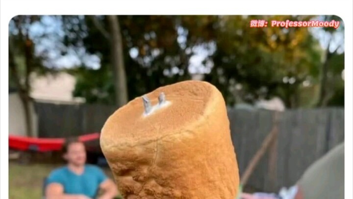 Aku berhasil! Memanggang marshmallow yang paling sempurna...