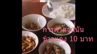 การค้าสวนสุนันทา แนะนำ ร้านน่านั่งโดนใจ ข้าวแกง 10 บาท