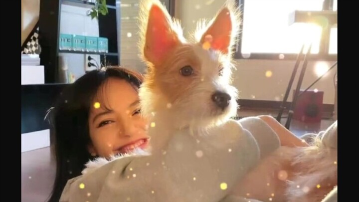 Perilaku pilih kasih Lalisa terhadap anjing-anjing yang berbeda