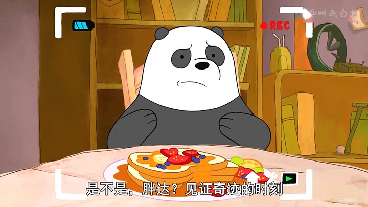 What delicacies can polar bears cook?
