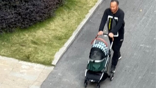 Nhìn khắp cả khu dân cư, chỉ có xe đẩy của bố tôi là chở mèo.