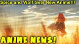 Spice and Wolf Gets New Anime Adaptation!! Ookami to Koushinryou (Anime News!)