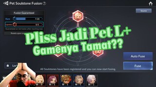 Bisa Ngefuse Pet L+ Nih [Seven Knights 2]