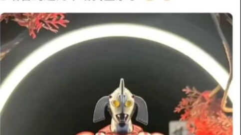 Taylor: Bạn biết đấy, tôi chưa bao giờ nổi loạn kể từ khi còn nhỏ.