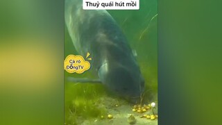 fishing câucá câu_đài cá hay cườikhôngnhặtđượcmồm gáixinh girls