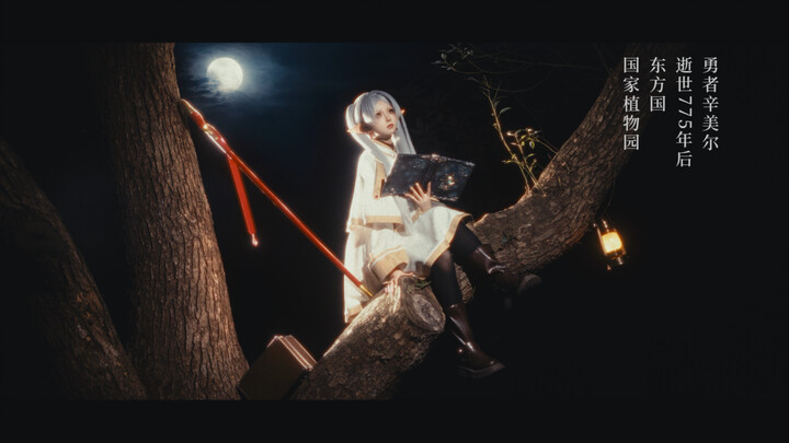 ماذا سيحدث عندما أصطحب فلليين في منتصف الليل إلى حديقة النباتات لتسلق الأشجار؟