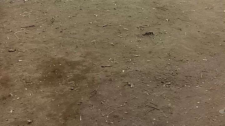 Naka Chamba.