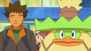 [Pokémon] How many of Xiaogang's strongest Pokémon do you know? Let's take a look