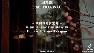 #tiktok #nhạccổphong Tổng hợp nhạc Trung tâm trạng 😘 phần 1