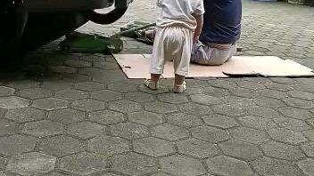 dedek nn