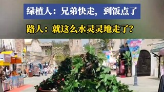 起猛了，看见绿植自己抱着盆走路了，绿植人：兄弟快走，到饭点了