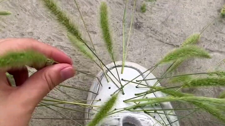 Apakah benar-benar wajib ikut ujian SIM? Bisa enggak sih kalau nggak ikut ujian? Aku mau pulang… Ser